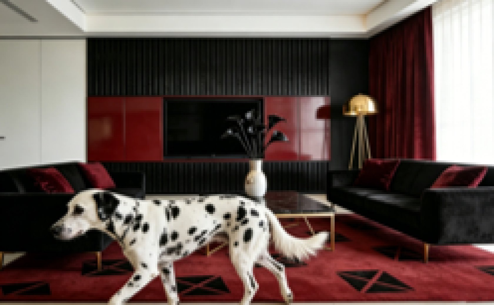  Collections from Everyday Design Team